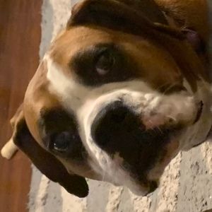 Meet your Posher, Hope marie